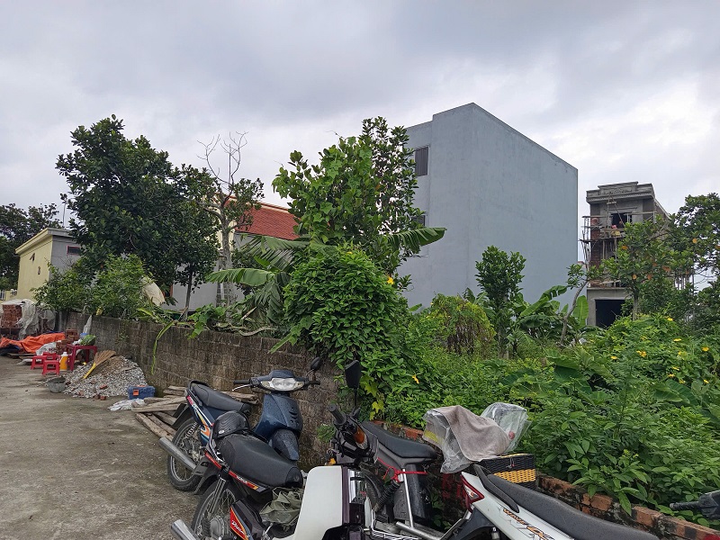 Bán Đất Thôn Kiều Trung, Xã Hồng Thái, An Dương, Hải Phòng – Vị Trí Đẹp, Giá Tốt